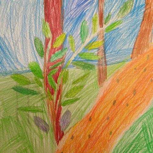 Wald6