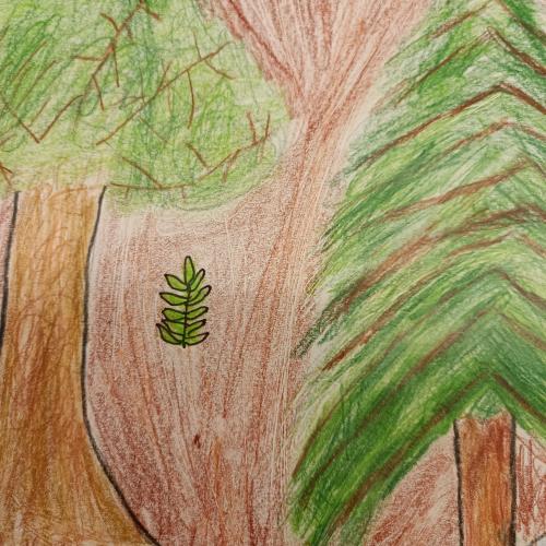 Wald12