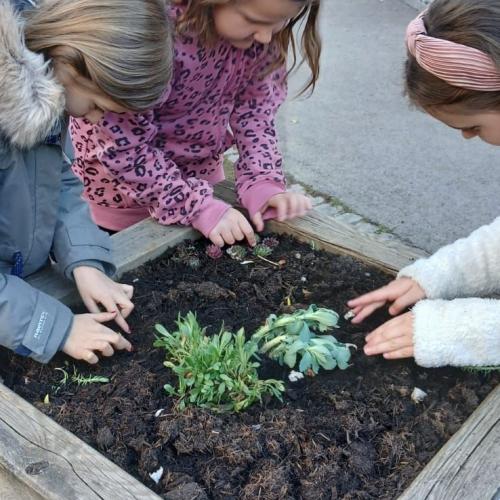 ein
