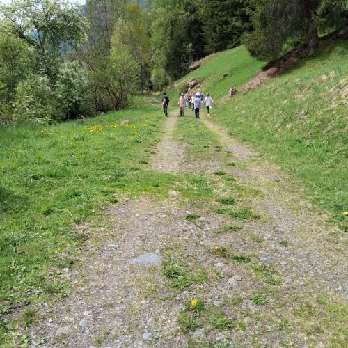 Wald