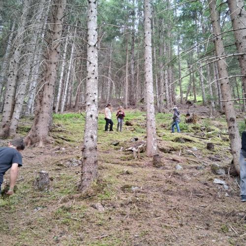 Wald