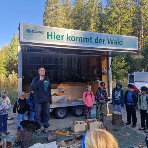 Schutzwaldmärchen