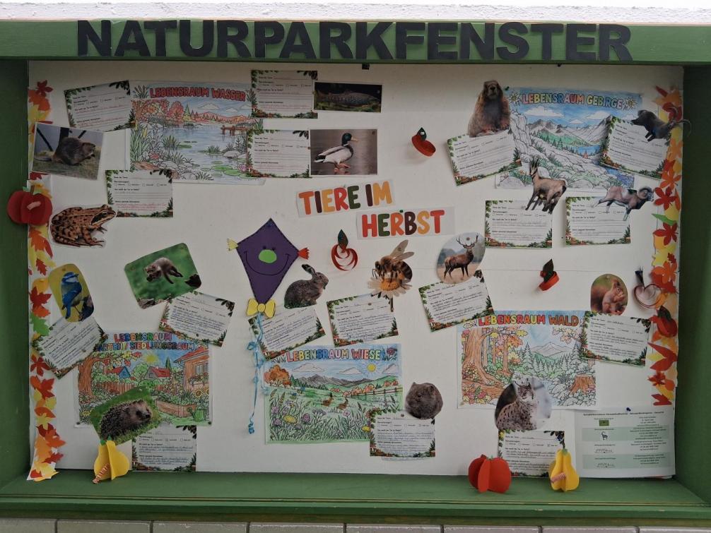 Naturparkfenster
