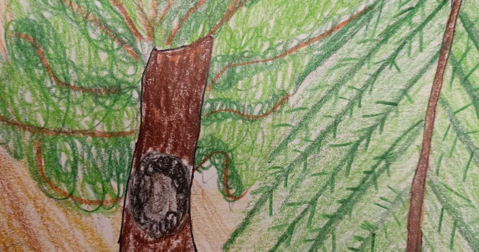 Wald8